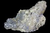 Purple/Gray Fluorite Cluster - Marblehead Quarry Ohio #81193-1